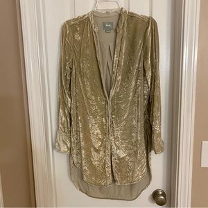 Anthropologie Maeve Crushed Velvet Tunic | size 2